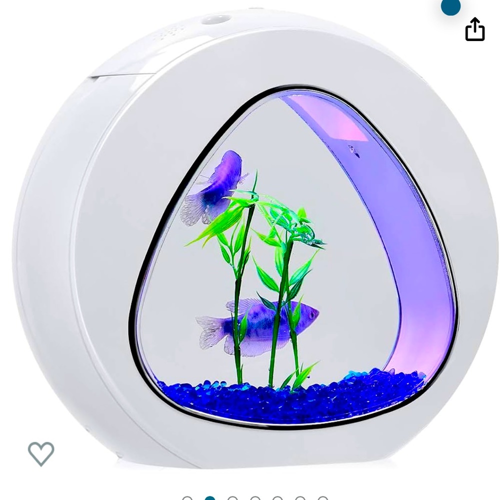 Aquarium fish